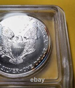 2001-ICG American Silver Eagle $1 MS70 Rare, Light Toning Beautiful Color