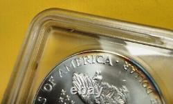 2001-ICG American Silver Eagle $1 MS70 Rare, Light Toning Beautiful Color