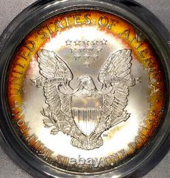 2001-P American Silver Eagle PCGS MS68 Orange Sunburst Rainbow Toned