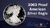 2002 Proof American Silver Eagle In Mint Packaging At Art And Coin Tv