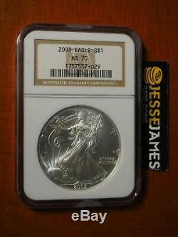2003 $1 American Silver Eagle Ngc Ms70 Classic Brown Label