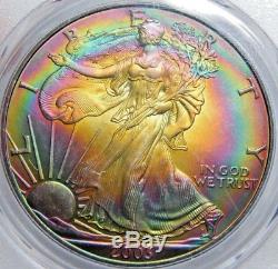 2003 1 oz Silver American Eagle PCGS MS67 Gold QA MONSTER TONED