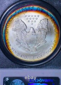 2003 MS66 American Eagle Silver Dollar Coin TARGET RAINBOW TONING 111