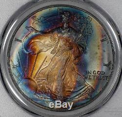 2004 American Silver Eagle $1 Ase Pcgs Certified Ms 66 Super Toning Color (346)