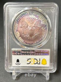 2005 American Silver Eagle PCGS MS66 Nicely Toned Registry Coin TV $1 ASE 1 oz