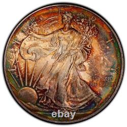 2009 American Silver Eagle PCGS MS65 Double Rainbow Toning Terminally Toned