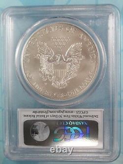2013-w Burnished American Silver Eagle Pcgs Ms70 First Strike Label