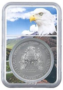 2014 W Burnished Silver Eagle NGC MS70 Eagle Picture Core