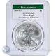 2015 P American Silver Eagle PCGS MS69 1 of 79,640 Minted. PCGS Population 457