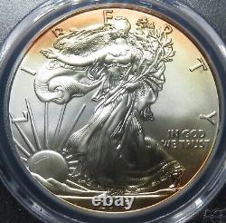 2015 PCGS MS70 Silver Eagle -Rare Flag label, Rarer Toned MS70! Beautiful Orange