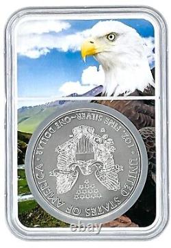 2016 W Burnished Silver Eagle NGC MS70 Lettered Edge Eagle Core POP 23