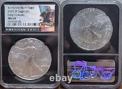 2022 American Silver Eagle lot All NGC MS69 Includes West Point & Burnished