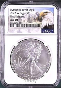 2022 w burnished silver eagle, ngc ms70 first releases, with ogp, mtn, in hand