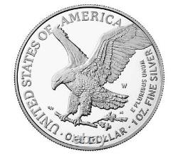 2022 w burnished silver eagle, ngc ms70 first releases, with ogp, silver eagle 70
