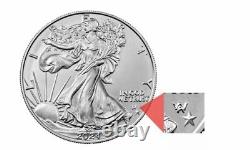 2024 American Silver Eagle Coin NGC MS70 First Star Privy (8th ERA)? PRESALE