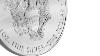 Apmex Silver Coins 2016 20 Coin Silver American Eagle Tube Pcgs Ms 69 Fs
