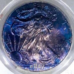 Blueberry Toned 2015 American Silver Eagle PCGS MS68 Vibrant Blueberry Tone