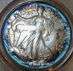 Framed In Blue1986 American Silver Eagle PCGS MS68 Vibrant Blue Circle Toned