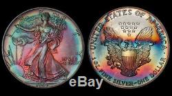 MS63 1992 $1 American Silver Eagle PCGS Secure- Vivid Rainbow Toning