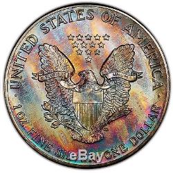 MS68 1987 $1 American Silver Eagle PCGS- Colorful Striped Toned