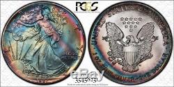 MS68 1987 $1 American Silver Eagle PCGS Secure- Bright Rainbow Toning