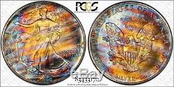 MS69 1990 $1 American Silver Eagle PCGS- Incredible Striped Monster Toning