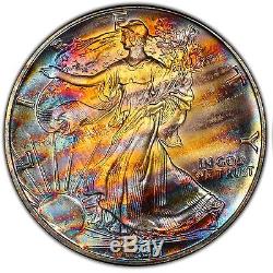 MS69 1990 $1 American Silver Eagle PCGS- Incredible Striped Monster Toning