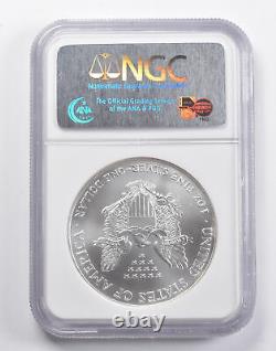 MS70 2001 American Silver Eagle NGC 5217