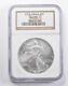 MS70 2003 American Silver Eagle NGC 5208