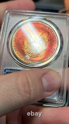 Monster Rainbow Toned 2002 $1 American Silver Eagle Pcgs Gold Shield Ms67