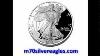 Ms70 Silver Eagle Coins What Are The Real Advantages