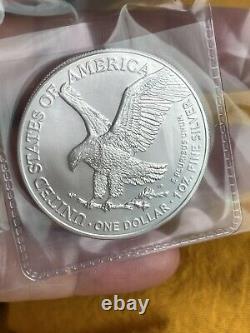 Pure Silver Lot 2021 $1 Type 1 American Silver Eagle MS69 3.5 oz BU