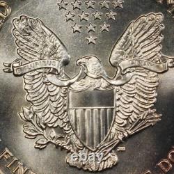 Rainbow Toned 1990 MS 69 Silver American Eagle PCGS Certified Trueview OCE 1348