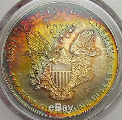 Rainbow Toned 2001 American Silver Eagle ASE- PCGS MS64