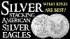 Silver Stacking American Silver Eagles What Kind Are Best